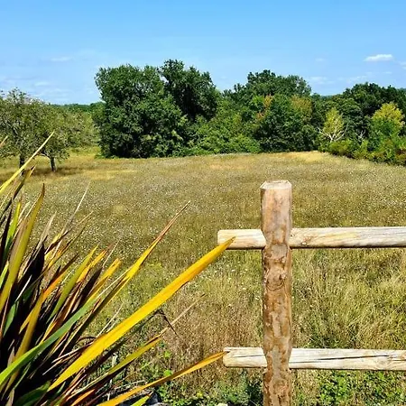 Au Calme, A 5mn De Perigueux * Trélissac